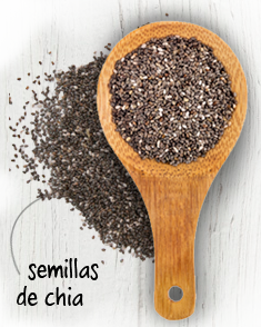 Semillas de Chia